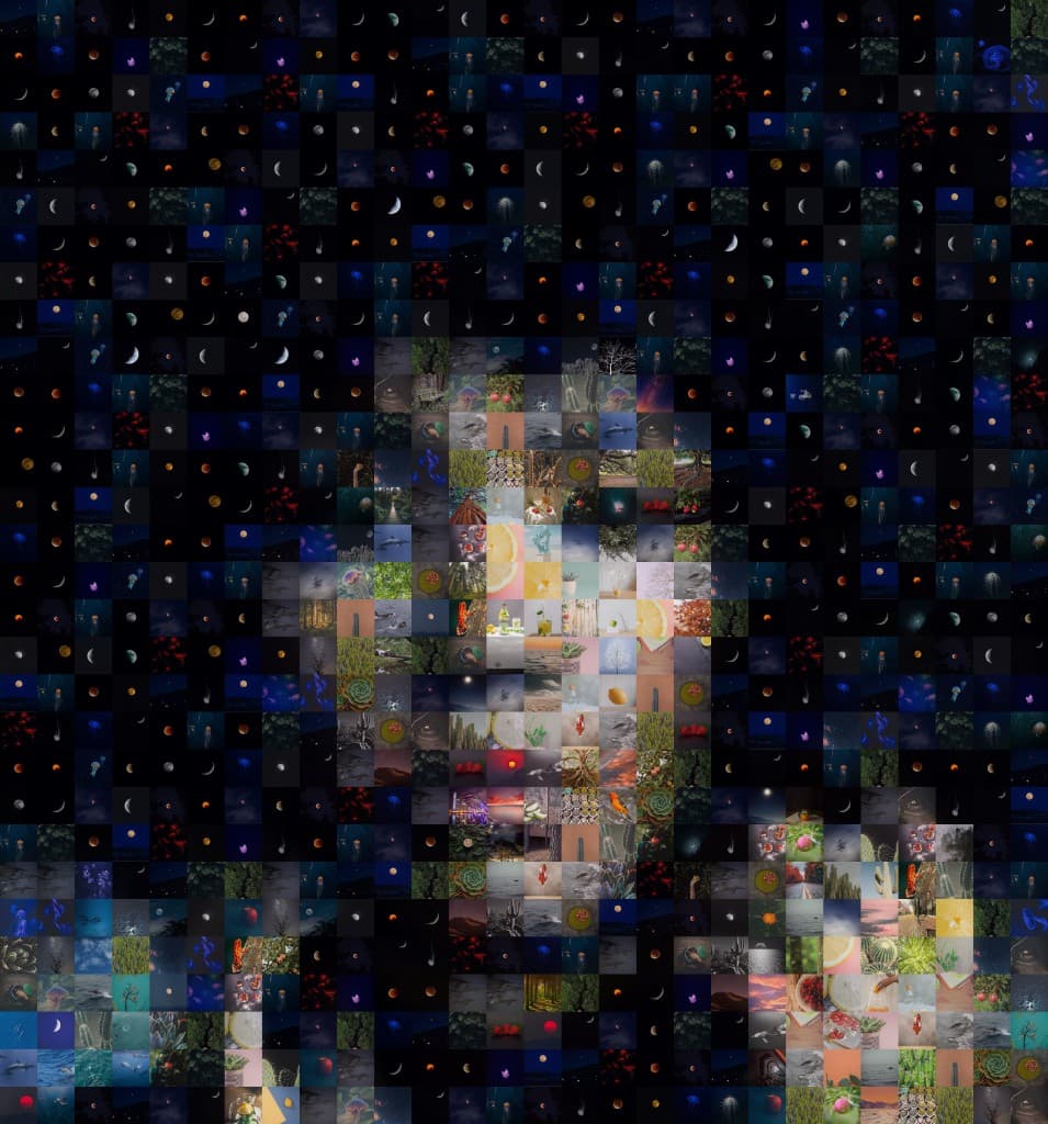 Space portrait mosaic