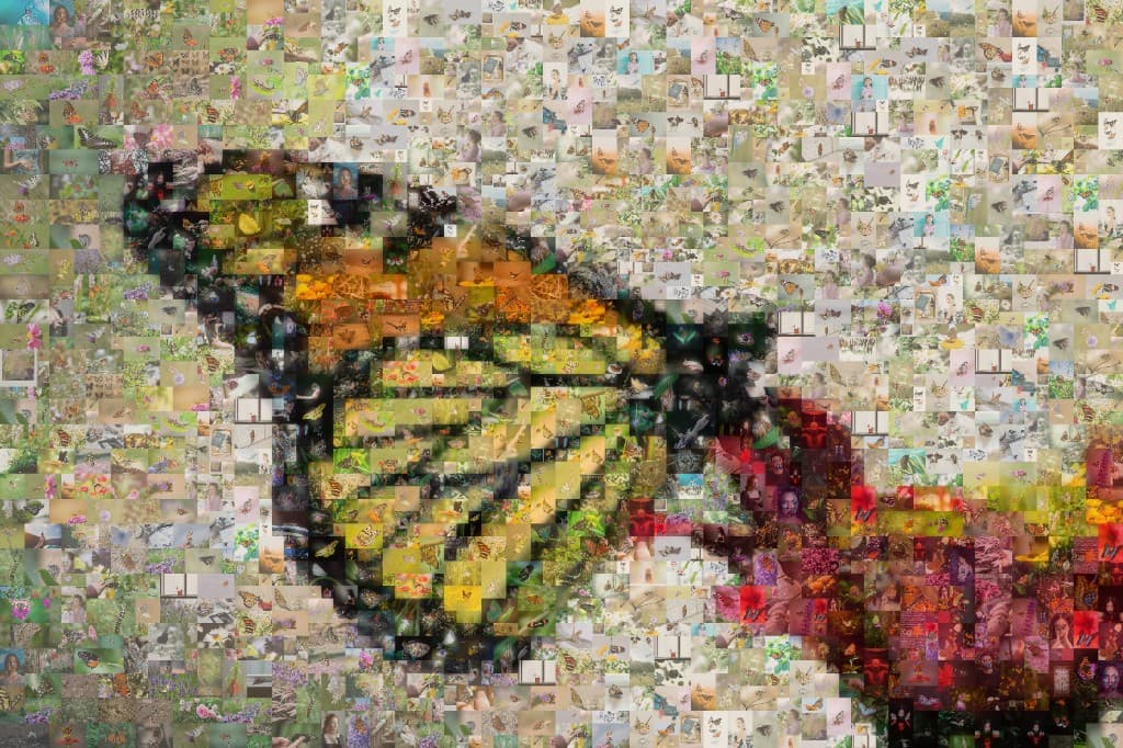 Butterfly nature mosaic